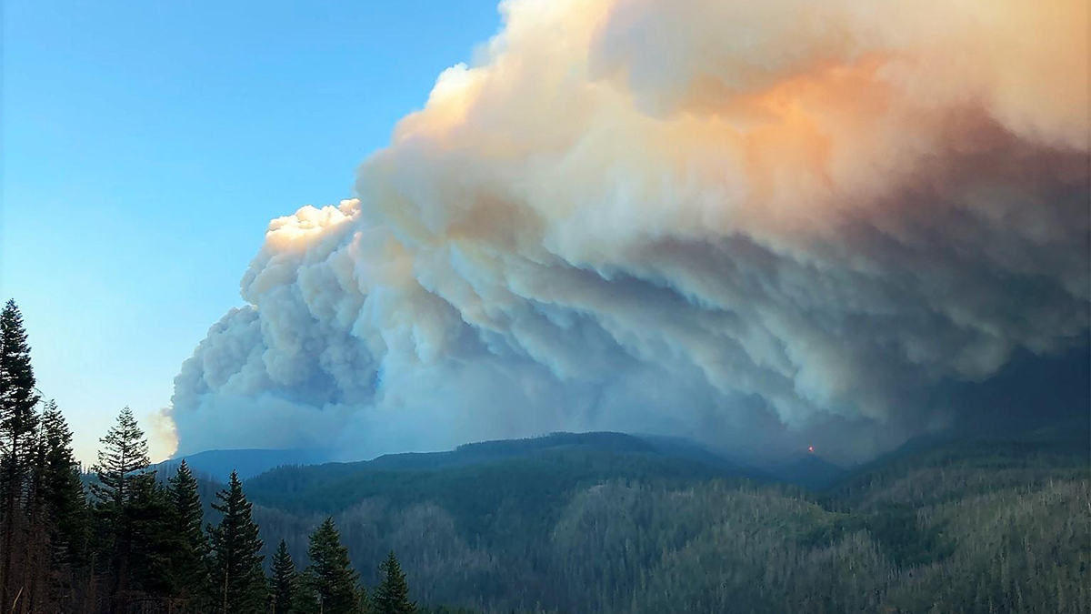 An aerial view taken from a high forest slope shows an enormous, black, orange, and white cloud of smoke moving from east to west.