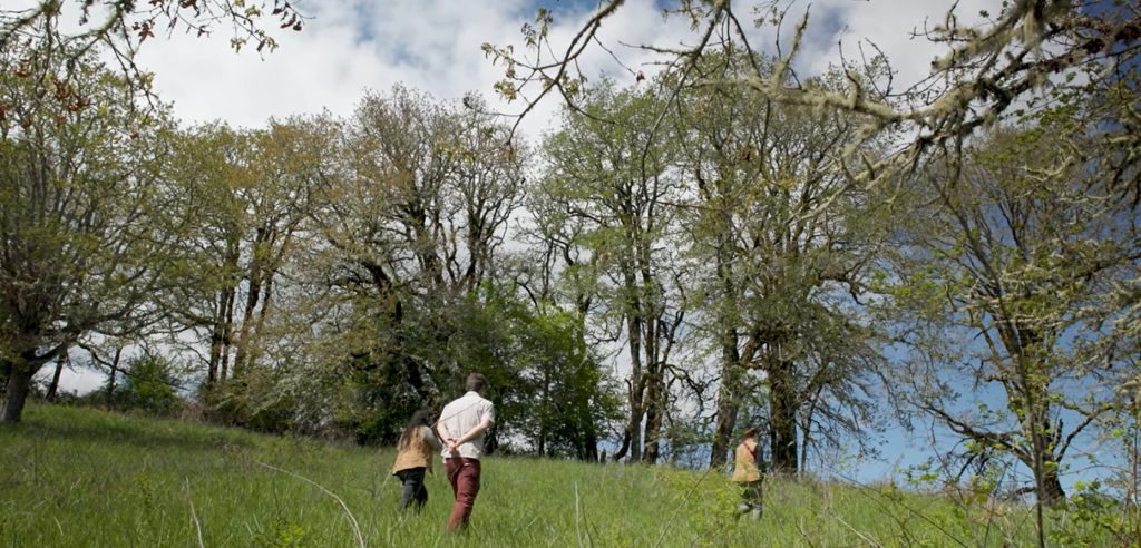 Three people walking up a hill through a patch of a dozen Oregon white oak trees.