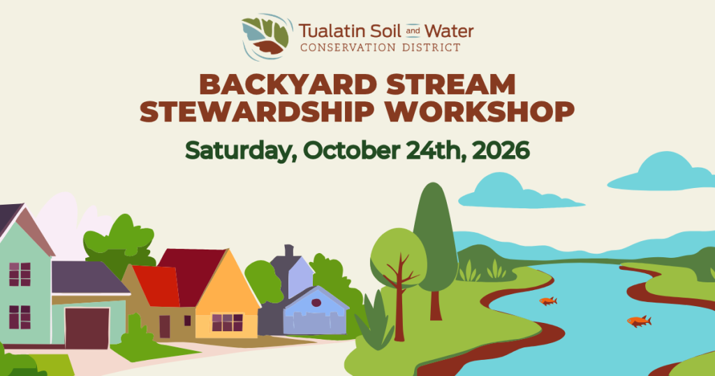 Graphic with colorful houses and stream with fishes to market Backyard Stream Stewardship Workshop