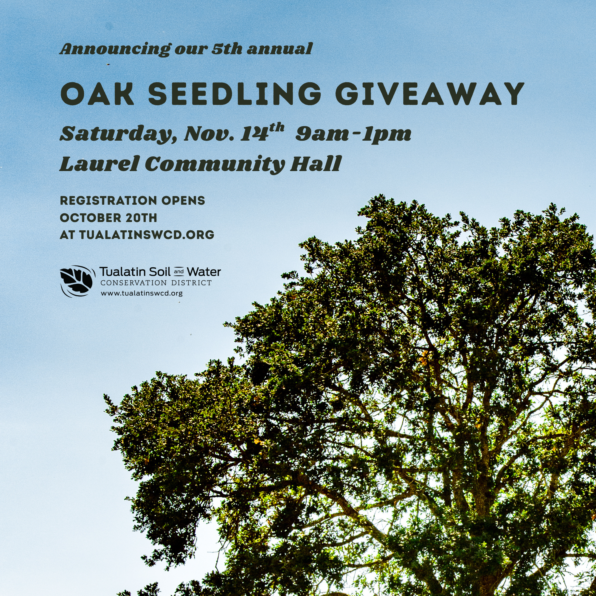 Oak Seedling Giveaway 2026 'save the date' details on a sky blue background next to a mature oak tree.